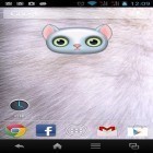 Além do papel de parede animado para Android Luar , baixar do arquivo apk gratuito da imagem de fundo Zoo: Gato.