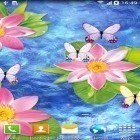 Além do papel de parede animado para Android Flores de inverno, baixar do arquivo apk gratuito da imagem de fundo Borboletas por Amax LWPs.